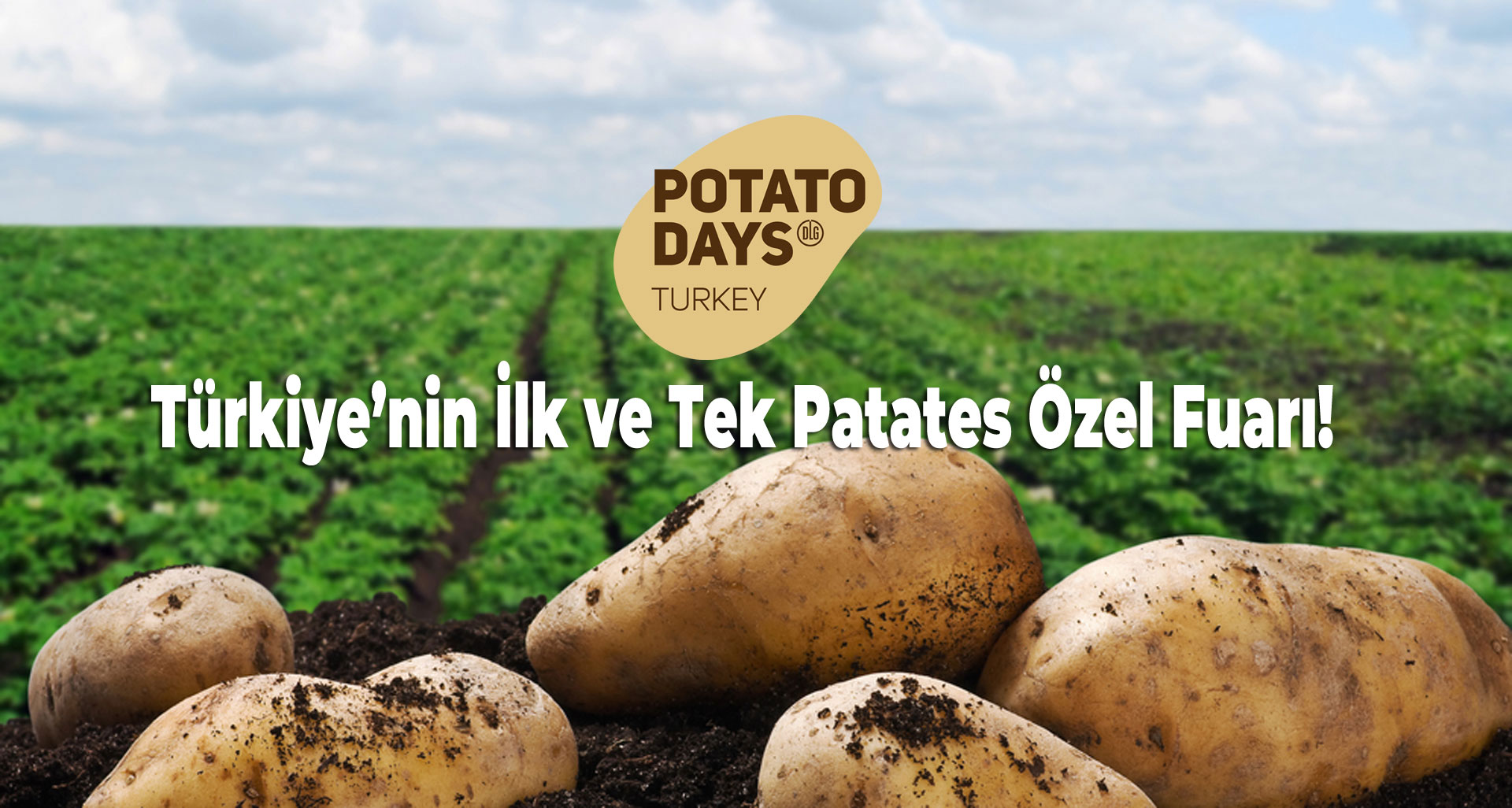 Patates Günleri Türkiye-2019